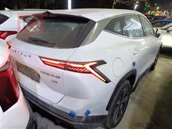 جيتور داشينج